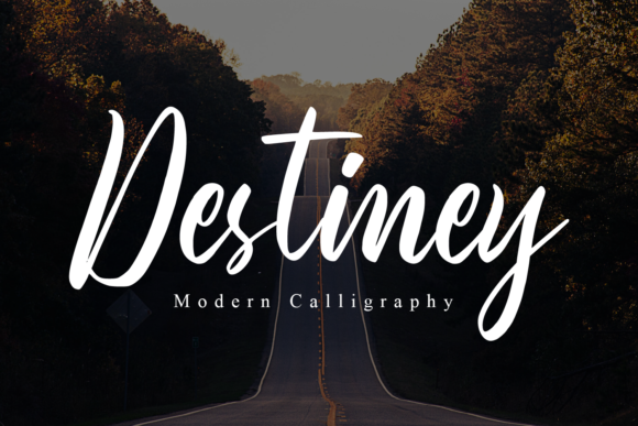 Destiney: A Versatile Script Font for Web Design