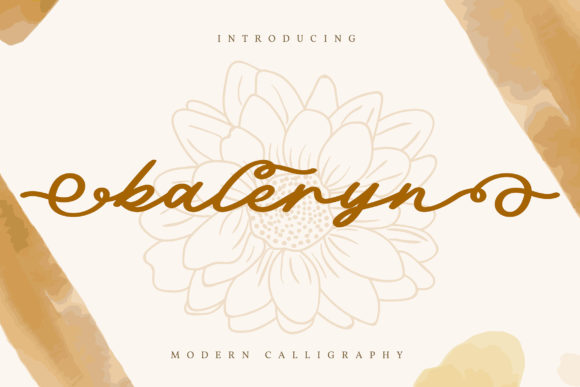 Enhance Your Web Design with Baleryn Font