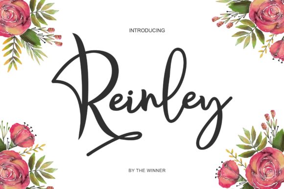 Reinley: A Stylish Font for Modern Marketers