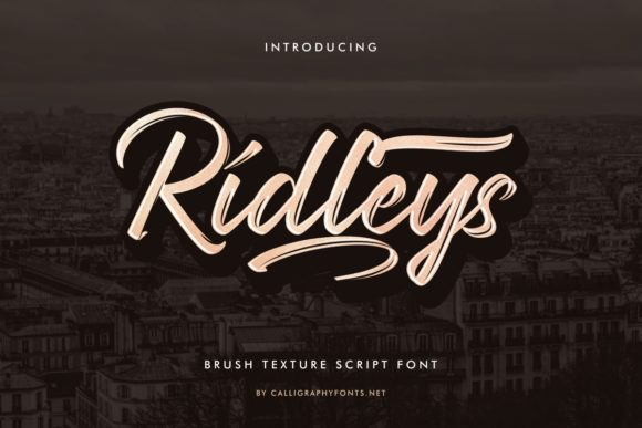 Ridleys: A Brush-Style Script Font for Editorial Design